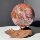 Bild 14 von 15