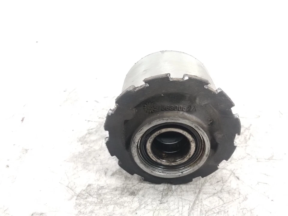 Ducati Monster S2R 800 2006 buje trasero tracción excéntrica Foto 4 de 4