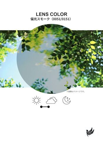 Swans (Swans) Sports Polarized Sunglasses airless Move SAMV