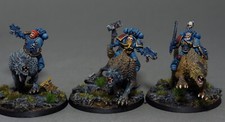 Thunderwolf Cavalry 2 Pro Painted Space Wolves 40k space marines