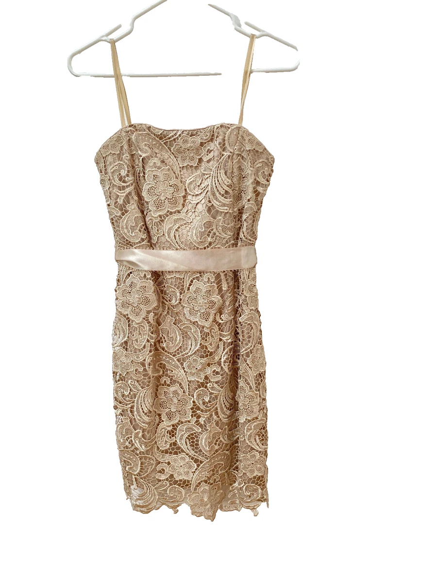 princess polly baby blue dress Adrianna Papell Women's Beaded Strapless Dress - Taupe Pink