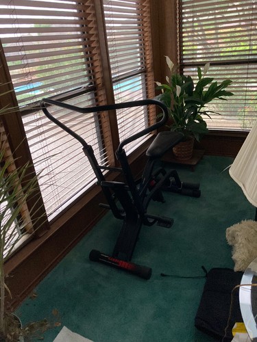 Lifestyler CardioFit Glider Total Body Exerciser Ab Rider Machine