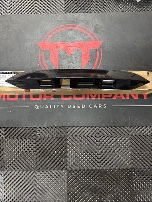BYD Kennzeichenhalter hinten 13856474-00