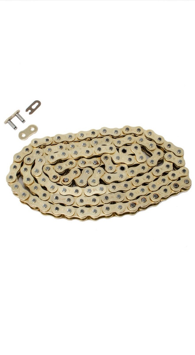 2009-2012 Kawasaki ZX-6 Gold Chain | eBay