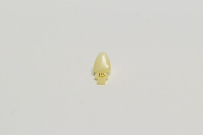 Dental Polycarbonate Temporary Crowns #16 (ULC) Upper Left Central - 5 Per Pack