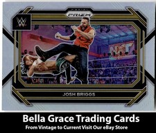 2023 Panini Prizm WWE Josh Briggs #64 NXT Silver