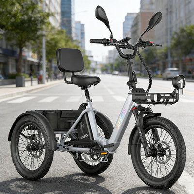 Elektro Dreirad Klappbar 250W 20 Zoll 3-Rad E-Bike Korb 21AH FAFREES F20 MATE II