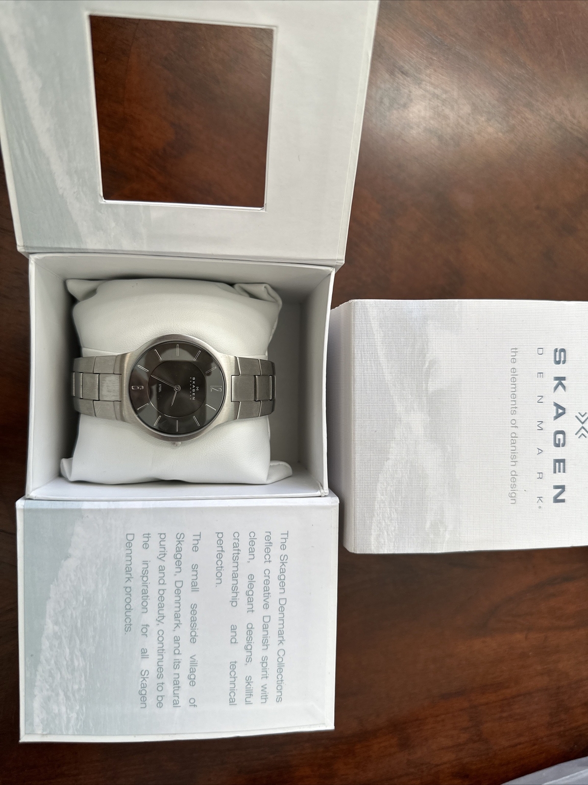 skagen mens watch eBay