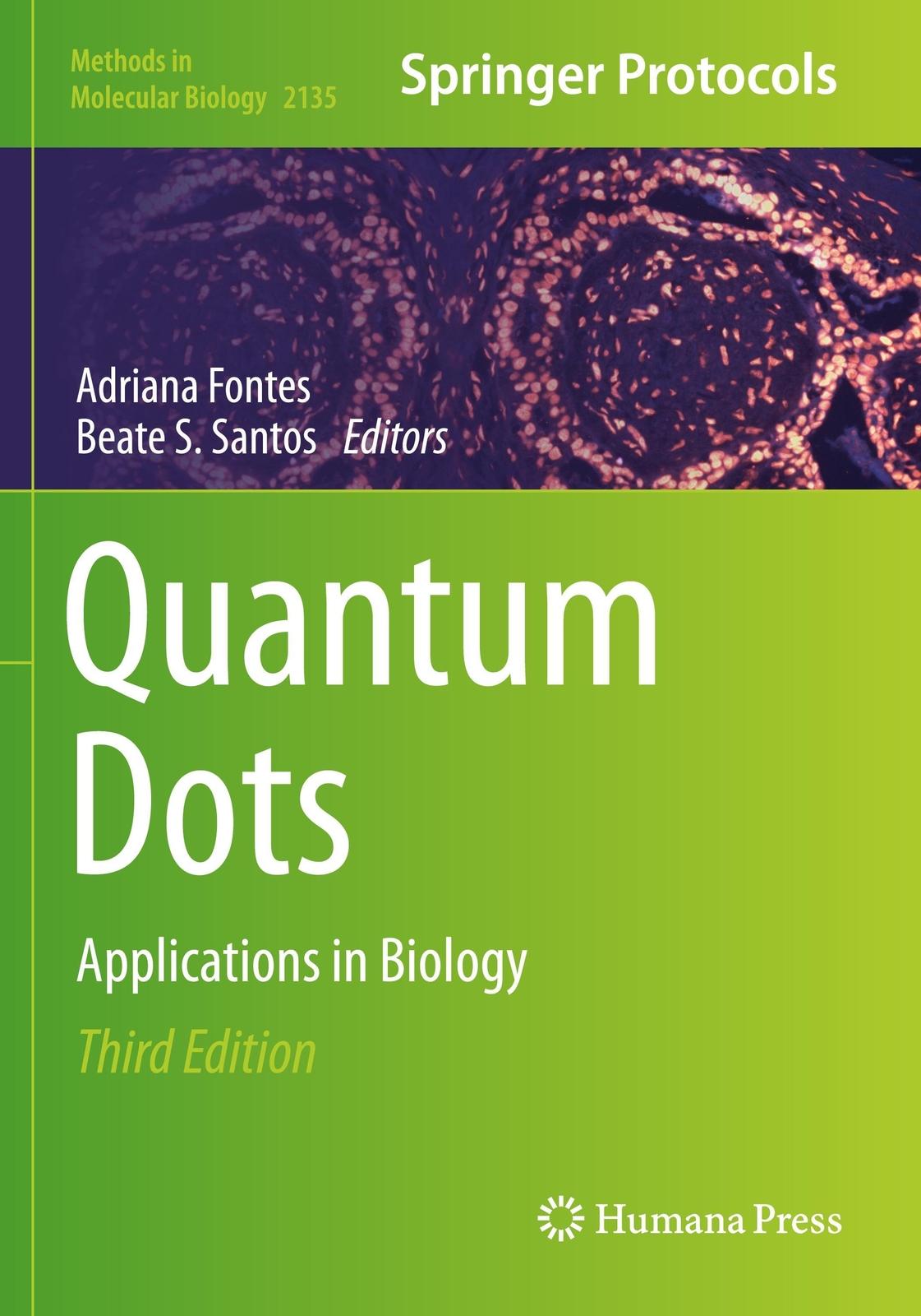 Thumbnail - Quantum Dots Applications In Biology Beate S. Santos (u. A.)