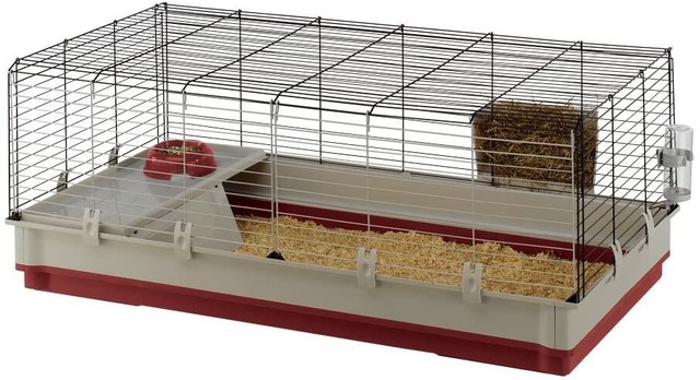 crufts 2019 gundog day