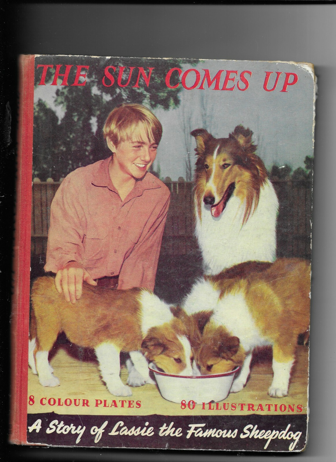 The Sun Comes Úp A Story of Lassie the famous Sheepdog with 8 plates in