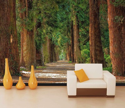 3D Wald Bäume C341 Tapete Wandbild Fototapete Alius Herb Amy 2023