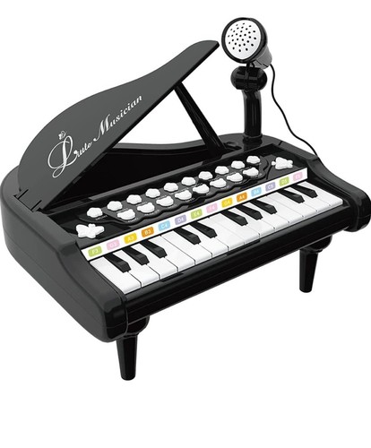 Melodía Pequeño Músico Piano Instrumento Musical Juguetes Teclado Negro 24 Teclas 36M+ - Imagen 1 de 6
