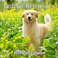 2026 Golden Retrievers Monthly Wall Calendar Sep 2025-Dec 2026