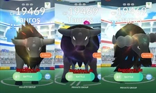 3x Paldean Tauros Regional Raid! Pokémon Raid Go Guaranteed Win