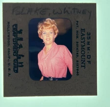 1960's Young Whitney Blake "HAZEL" ORIGINAL PHOTO 35MM SLIDE TRANSPARENCY #404