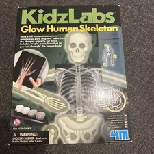 KIDZ LABS GLOW HUMAN SKELETON Science Experiment Kids 8+ New UnwantedGift