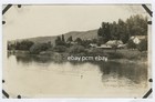 Homes along a River, Likely California. Ducks on water. Bear Company # 7  RPPC — photo 1