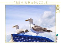 Calvendo Puzzle Seagulls On A Beach Chair At The Baltic Sea | 1000 Pieces, Finis