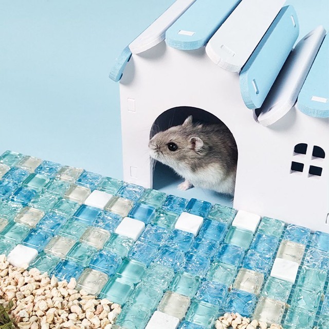 Habitat Squirrel House Cage Cooling Pad Hammock Platform Hamster Cooling Mat Habitat Squirrel House Cage Cooling Pad Hammock Platform Hamster Cooling Mat