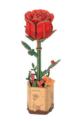 Red Rose