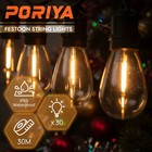 Christmas 30M LED Festoon String Lights Wedding Outdoor Waterproof String Lights
