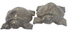 2 Natural Fossil Stone Turtles, Hand Carved In Pakistan 4