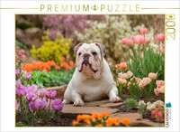 Calvendo Puzzle English Bulldog In The Spring Garden | 2000 Pieces, Finished Siz