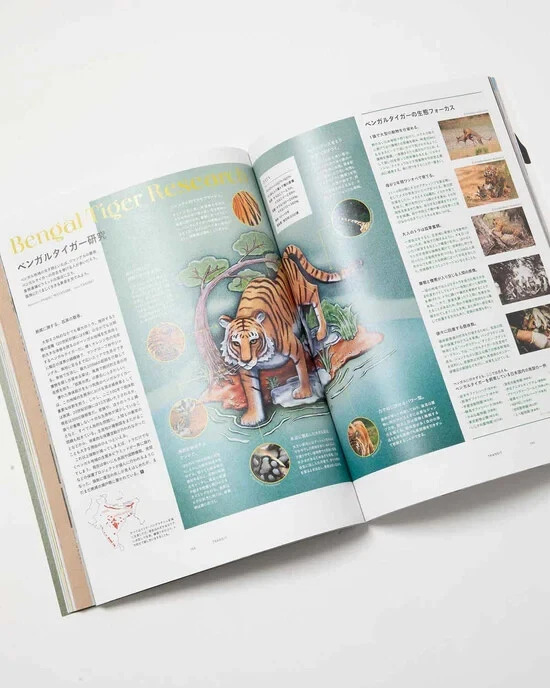 TRANSIT       japanese travel&photgraph magazine　　bangladesh - Image 4 of 4