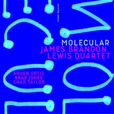 James Brandon Lewis Quartet Molecular (CD) Album