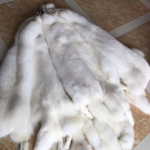 1x Genuine White Fox Skin Fur Pelts Soft Dense Real Leather Hides 49-51 inch - Picture 1 of 12