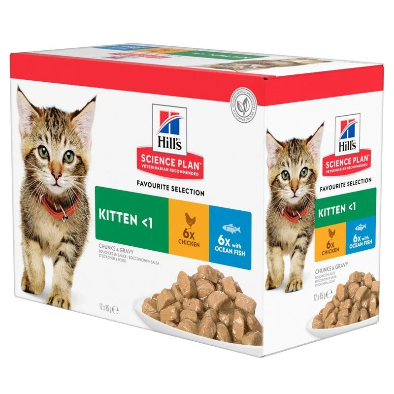Nursing hot sale cat food