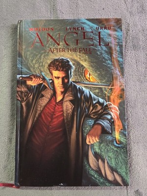 Angel: After the Fall #1 (IDW Publishing June 2008)