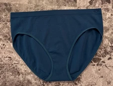 NWOT GAP BODY L BLUE RIBBED STRIPE LOGO HARDWARE STRETCH SEAMLESS BRIEF PANTIES