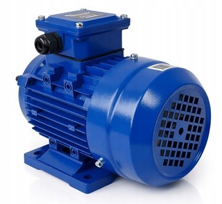BG13 Elektromotor 230V 3kW 2800 U/min Einphasen Asynchronmotor Kondensator