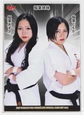 Tomoka Azusa Inaba 2023 BBM Ambitious Woman's Pro Wrestling Rookie #28 STARDOM