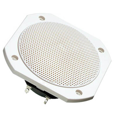 Visaton FRS10WP-8 4'' Full-Range Saltwater Resistant Driver 8 Ohm White