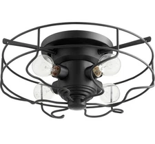 Quorum International 3905-17-69 Fort Worth Noir Ceiling Mount Light