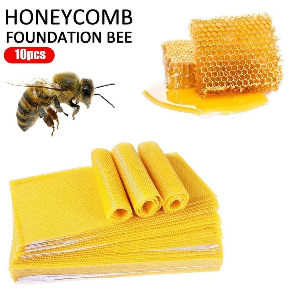 10PCS Beeswax Foundation Bee Hive Wax Frames Beekeeping m n Honeycomb Sheet O2N3 - Image 3 of 4
