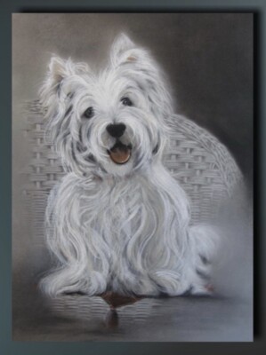 Original Hundebild  Terrier  v.S.Kreft Chemnitz Pastell Zeichnung Gemälde Grafik