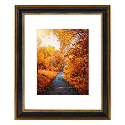 Ornate Gold/Black 16x20 Picture Frame with Mat for 11x14 Photo Wall Mounting