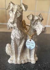 Next Cute Terrier Dogs