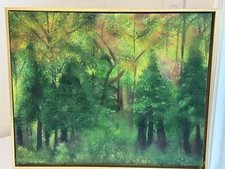 Beautiful Autumn Forest