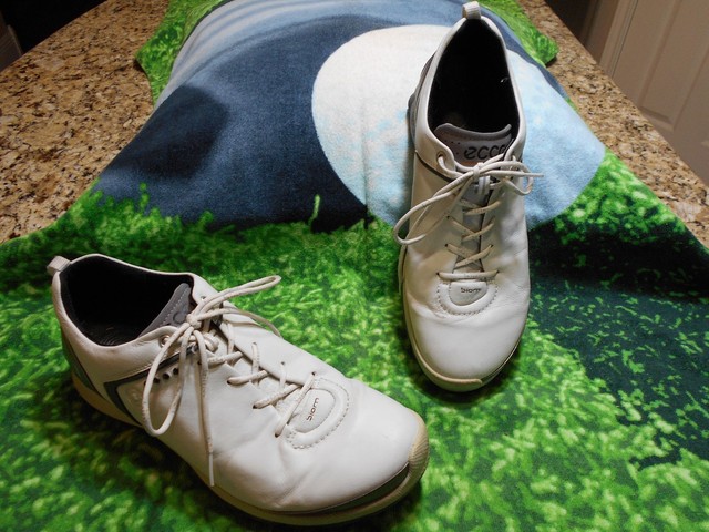 ecco mens biom g 2 gtx