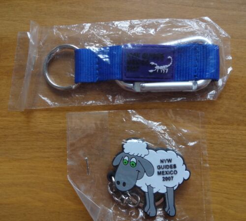 GIRLGUIDING UK: NORTH YORKSHIRE WEST MEXICO 2007 KEY RING & CARABINER AS PHOTO - Picture 1 of 5