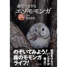 The Ezo Flying Squirrel Connected in The Forest Connections of Life  Book