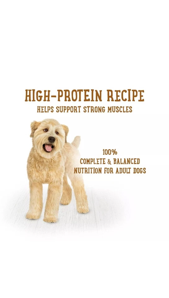 Purina Gravy 湿狗粮预制餐 Simmered Chicken Medley - 10.oz Ex:8/25 — 第 4/4 张图片