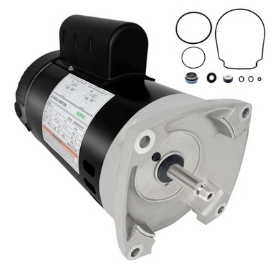 B2853 Pool Pump Motor, 1 HP, 115 or 230 Volt for Smith Century Others 56Y Frame
