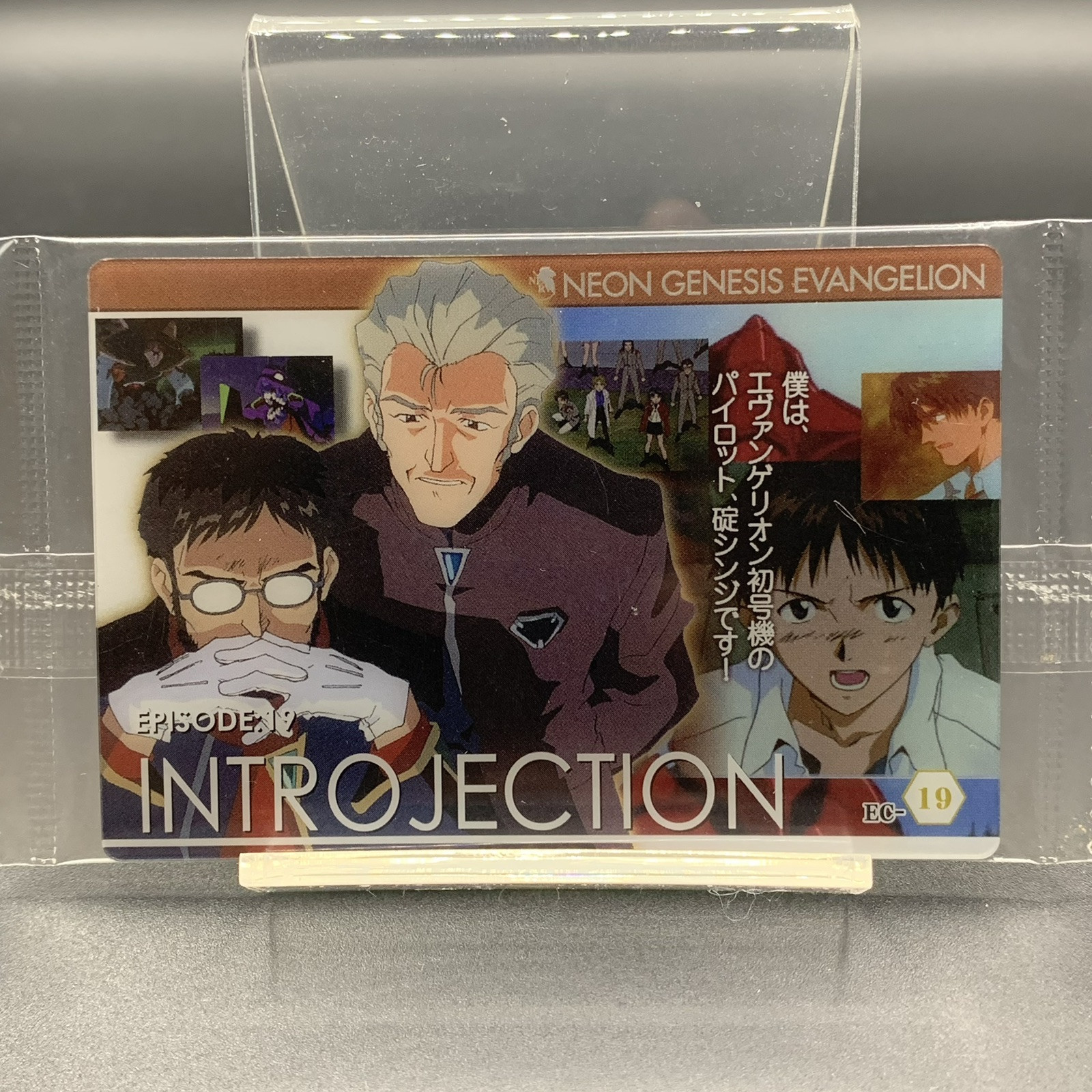 Episode 19 EC-19 wafer card NEON GENESIS EVANGELION 2008 BANDAI JP