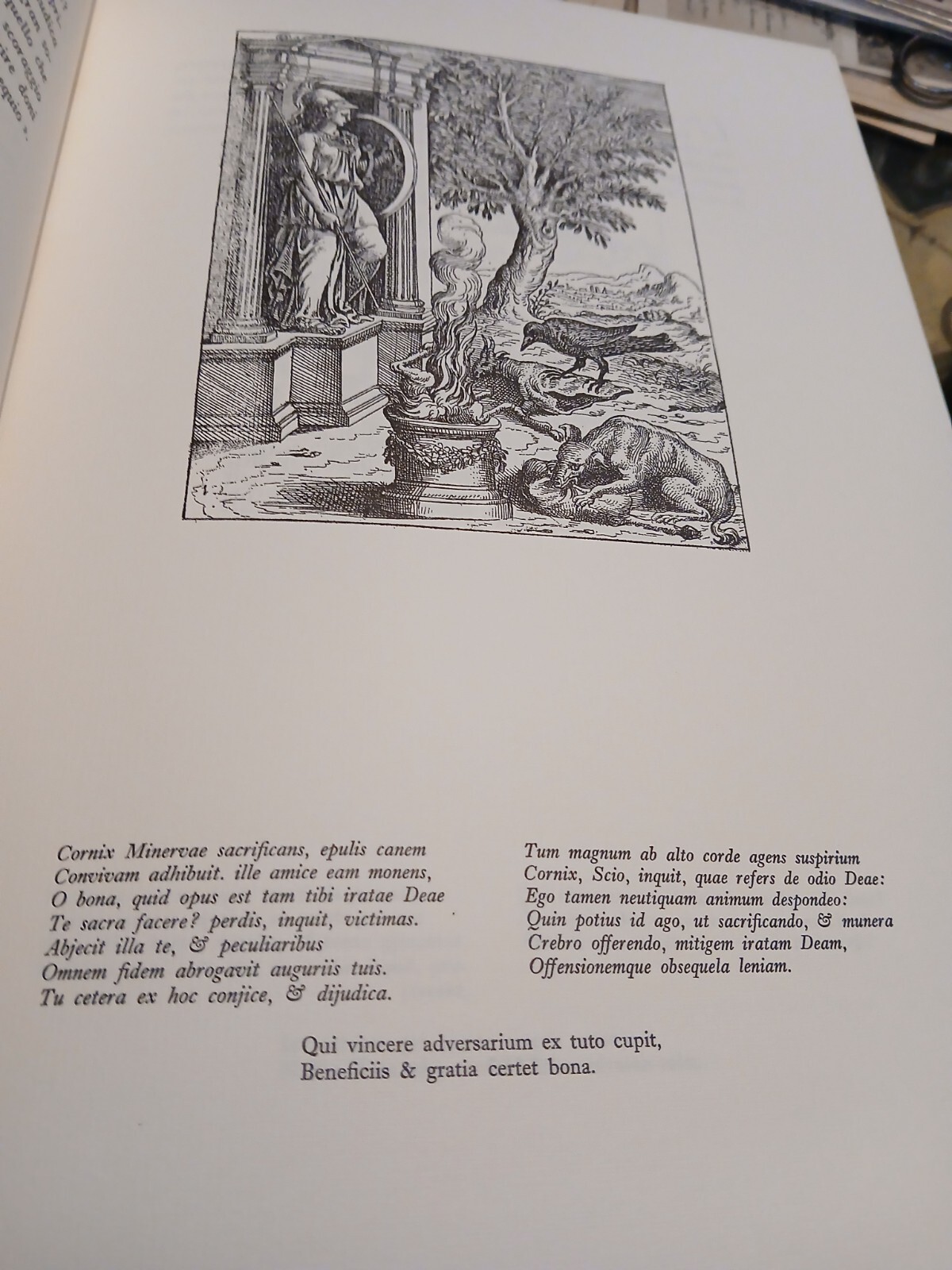 Picture 7 of 7